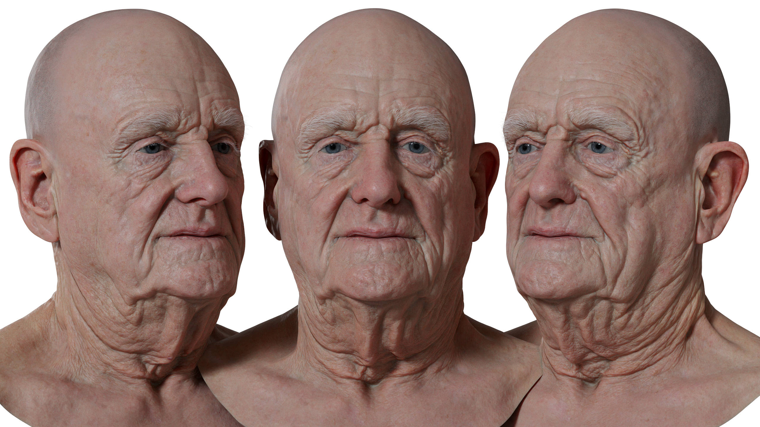 Download realistic white male head model